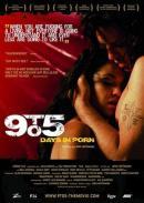 9 to 5 - Days in Porn (2008)