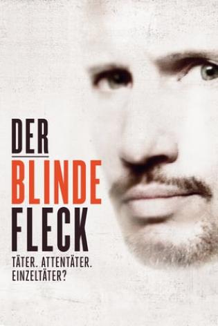 Der blinde Fleck (2013)