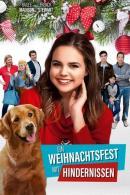 Ein Weihnachtsfest mit Hindernissen (2016)