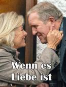 Wenn es Liebe ist (2016)