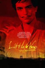 Little Ashes (2008)