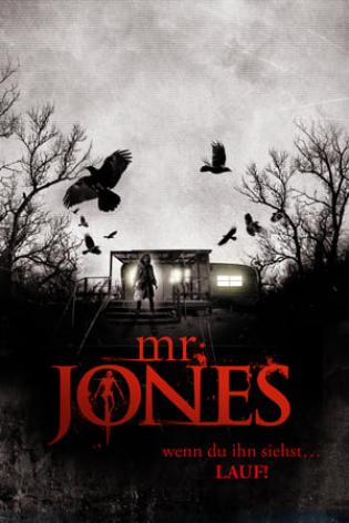 Mr. Jones (2013)