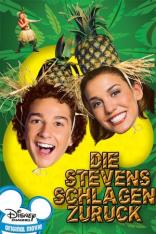 Die Stevens schlagen zurück (2003)