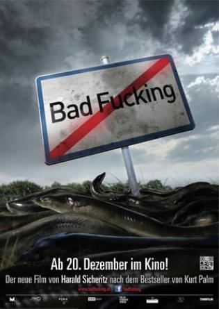 Bad Fucking (2013)