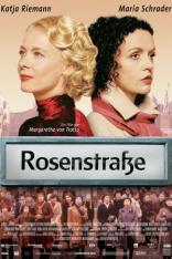 Rosenstraße (2003)