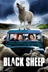 Black Sheep (2006)