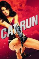 Cat Run (2011)