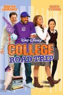 College Road Trip (2008)