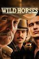 Wild Horses (2015)