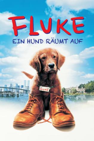 Fluke (1995)