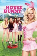 House Bunny (2008)