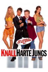 Knallharte Jungs (2002)