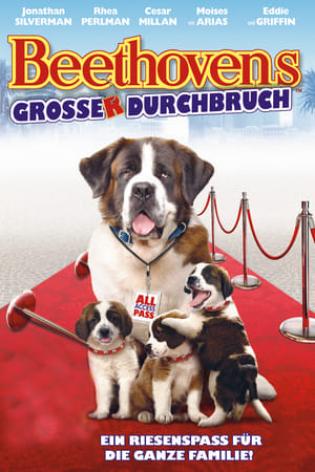 Beethovens großer Durchbruch (2008)